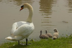 IMG_1196.jpg IMG_1196.jpg