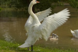 IMG_1199.jpg IMG_1199.jpg