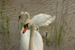 IMG_1217.jpg IMG_1217.jpg