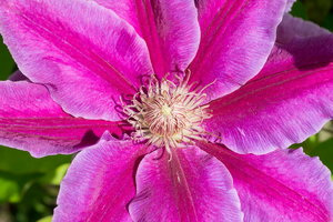 DSC0111822_Bildgröße ändern.jpg