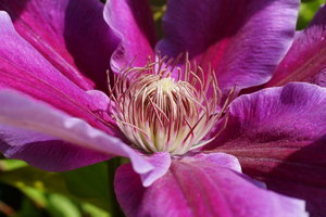 DSC01111_Bildgröße ändern.JPG