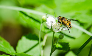 keine ahnung klein.jpg