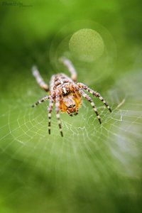 8169-1fertig_1200.jpg 8169-1fertig_1200.jpg