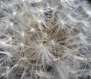 DSC009861_DxO_Bildgröße ändern.jpg