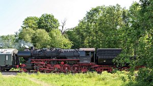 comp__D707734-2.jpg comp__D707734-2.jpg