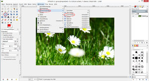 Zuschneiden.jpg Zuschneiden.jpg
