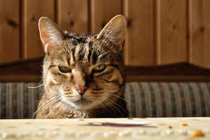 DSC_0004.JPG DSC_0004.JPG