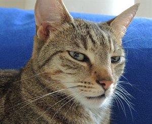 DSCN0092.JPG DSCN0092.JPG