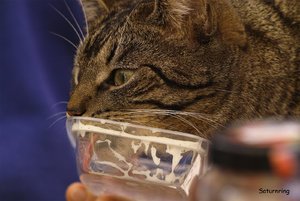 tag381.jpg tag381.jpg