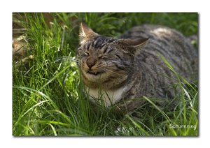 pixelfrühling.jpg pixelfrühling.jpg