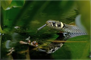 guckmalwerdaguckt2.jpg guckmalwerdaguckt2.jpg