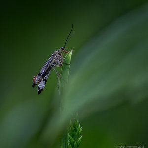 1shot1moment@bilderforum (2 von 16).jpg 1shot1moment@bilderforum (2 von 16).jpg