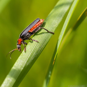 1shot1moment@bilderforum (3 von 16).jpg