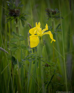 1shot1moment@bilderforum (6 von 16).jpg