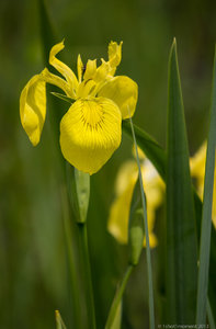 1shot1moment@bilderforum (7 von 16).jpg