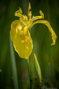 1shot1moment@bilderforum (8 von 16).jpg