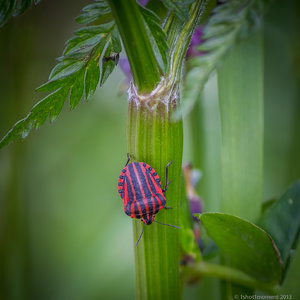 1shot1moment@bilderforum (4 von 16).jpg