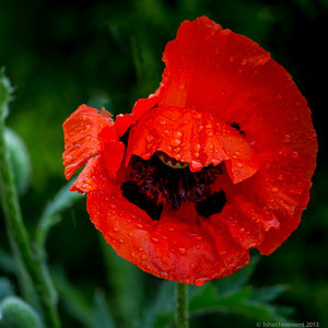 1shot1moment@bilderforum (15 von 16).jpg