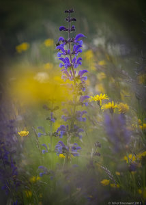 1shot1moment@bilderforum (5 von 16).jpg