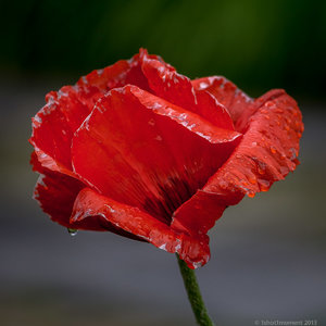 1shot1moment@bilderforum (1 von 3).jpg