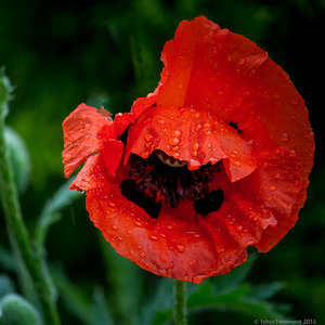 1shot1moment@bilderforum (2 von 3).jpg