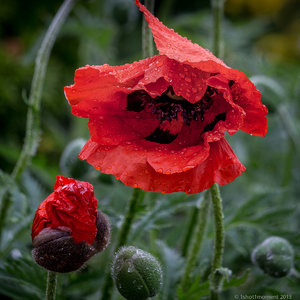 1shot1moment@bilderforum (3 von 3).jpg