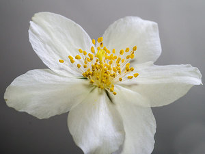 DSC0122711_Bildgröße ändern.jpg