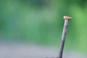 comp_1.4_NIK6366.jpg comp_1.4_NIK6366.jpg