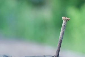 comp_2.2_NIK6356.jpg comp_2.2_NIK6356.jpg