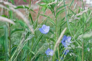 comp_5.6_NIK6330.jpg comp_5.6_NIK6330.jpg