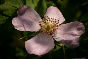 1shot1moment@dslrforum (1 von 8).jpg