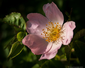 1shot1moment@dslrforum (3 von 8).jpg