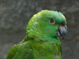 Nach_Korrektur.jpg Nach_Korrektur.jpg