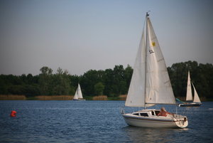 IMG_7104.JPG IMG_7104.JPG