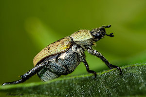 D7K_8629.jpg D7K_8629.jpg