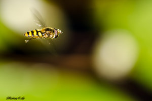 D7K_8705.jpg D7K_8705.jpg