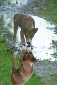 IMG_9212.JPG IMG_9212.JPG