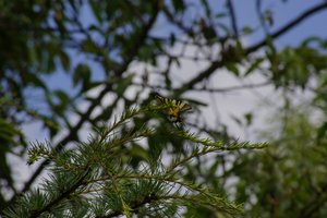 comp_DSC04969.jpg comp_DSC04969.jpg