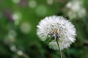 sample 4.jpg sample 4.jpg