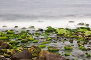 comp_gruener strand-003.jpg