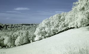 500k_SDIM4818.jpg 500k_SDIM4818.jpg