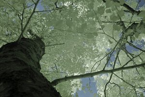 500k_SDIM4837.jpg 500k_SDIM4837.jpg