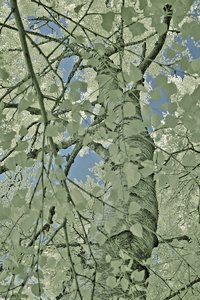 500k_SDIM4838.jpg 500k_SDIM4838.jpg