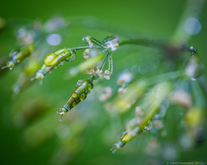 1shot1moment@bilderforum (1 von 1).jpg