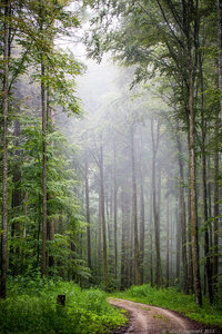 1shot1moment@bilderforum (1 von 1)-2.jpg