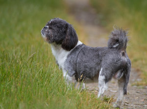 4528-Tammy.jpg 4528-Tammy.jpg