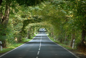 Rügen 07-- C  379_Bildgröße ändern.JPG