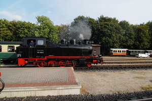 Rügen 07-- C  391_Bildgröße ändern.jpg