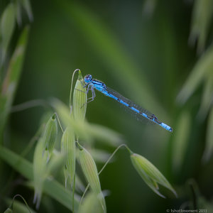 1shot1moment@bilderforum (1 von 4).jpg