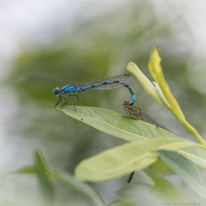 1shot1moment@bilderforum (2 von 4).jpg